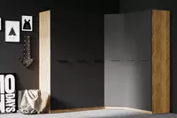 по запросу 2-х дверный шкаф-купе Almila Плюс