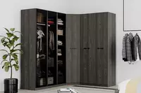 2-х дверный шкаф-купе Almila Плюс