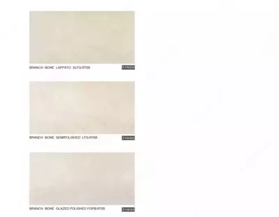 Seramika plitalari BRANCH 120 * 60 R-705 porloq