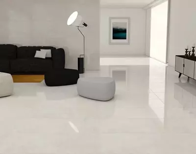 Seramika plitalari BRANCH 120 * 60 R-705 porloq - 238 247.6 so'm / kv.m