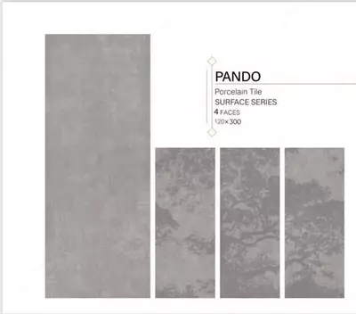 Керамогранит Pando 120х300