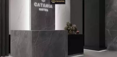 Керамическая плитка (универсальная) "FAVANIA" Maxim Light Gray (Матовая)