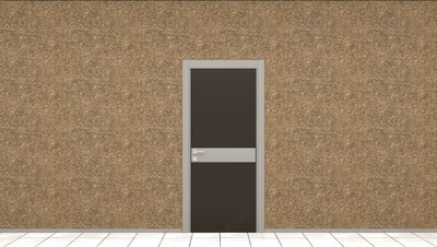 Межкомнатная дверь (арт-11)