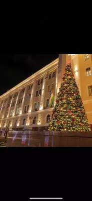 11 000 000 сум / упаковка Ёлки Президентский Новогодние большие и маленькие +оформление