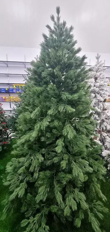 Ёлки Президентский Новогодние большие и маленькие +оформление - OOO LENOR TRADE