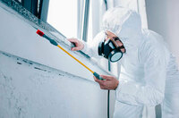 Дезинсекция - по запросу