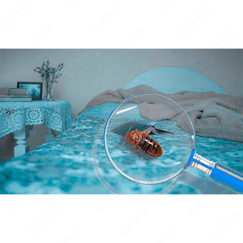 Choyshablardan zararsizlantirish