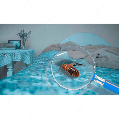 Дезинсекция от клопов