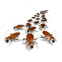 Дезинфекция от тараканов - по запросу