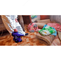 Дезинфекция от блох - по запросу