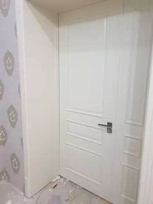 Межкомнатные двери арт 004