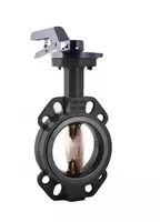 Дисковый поворотный затвор "Duyar DN 80"