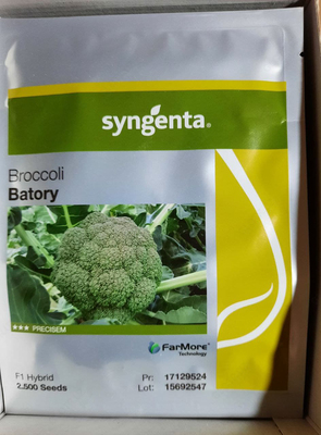 Brokkoli urugʻi Syngenta