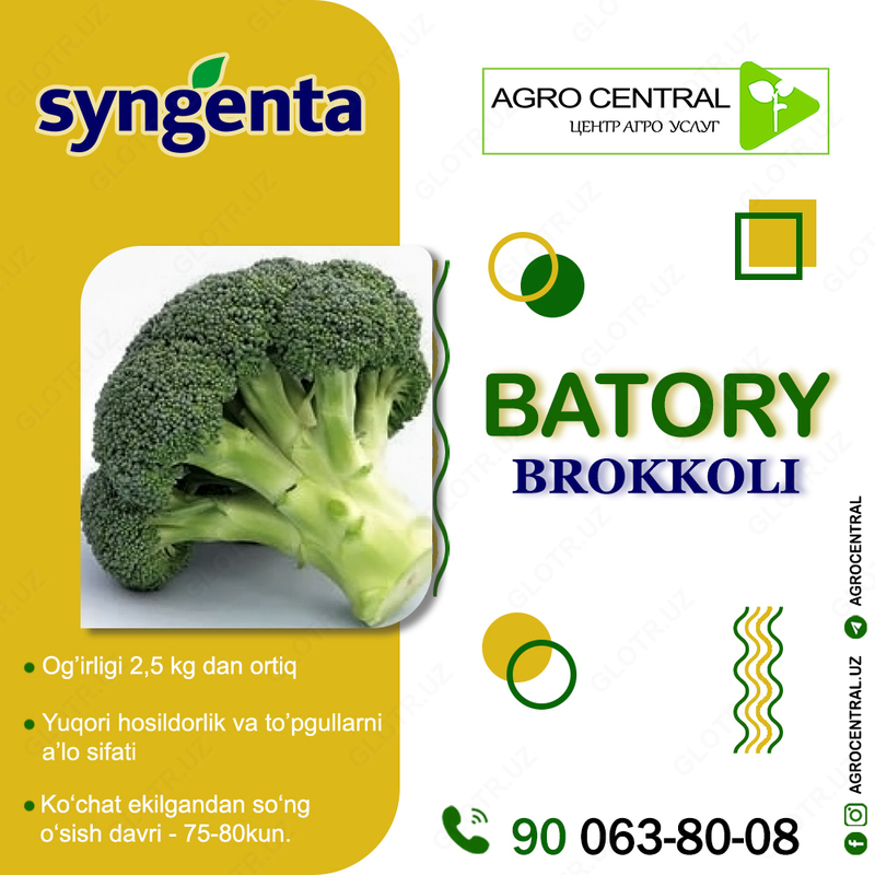 по запросу Семена брокколи Syngenta