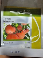 Семена томатов Commodo Torry Mamston Dafnis Dantina