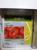 Семена томатов Commodo Torry Mamston Dafnis Dantina - по запросу