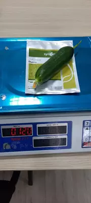 Bodring uruglari Agro Central