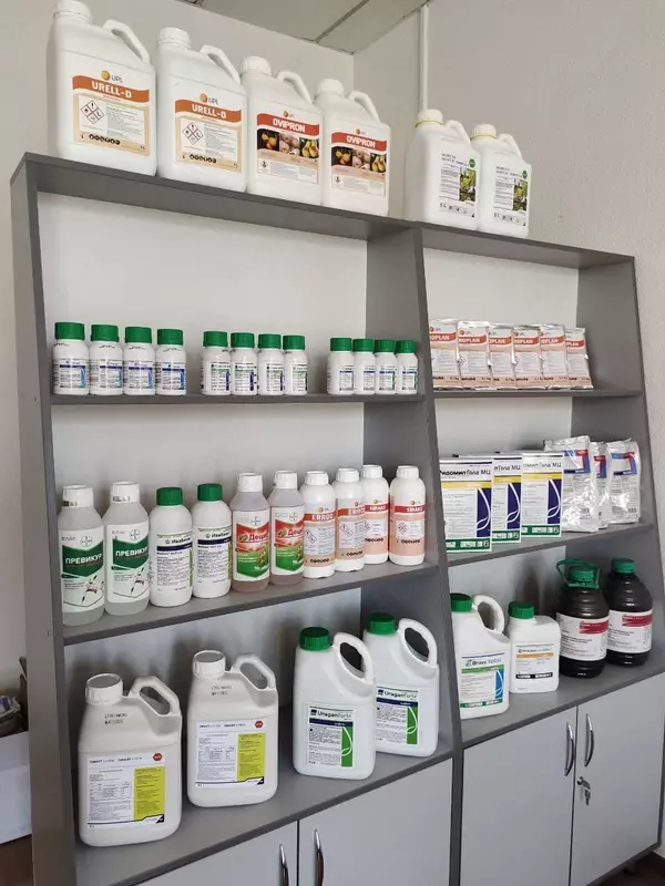 Ussuriyskdan kelgan fohisha