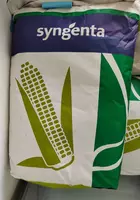 Семена кукурузы - по запросу