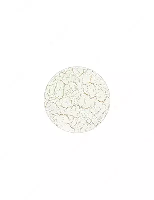 Набор для кракелюра Elcon белый по золоту/520 мл + 520 мл /аэрозоль