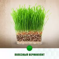 Shishirilgan vermikulit MCHJ "ELKON TERM"