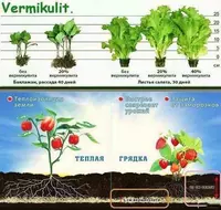 Shishirilgan vermikulit - MCHJ "ELKON TERM"