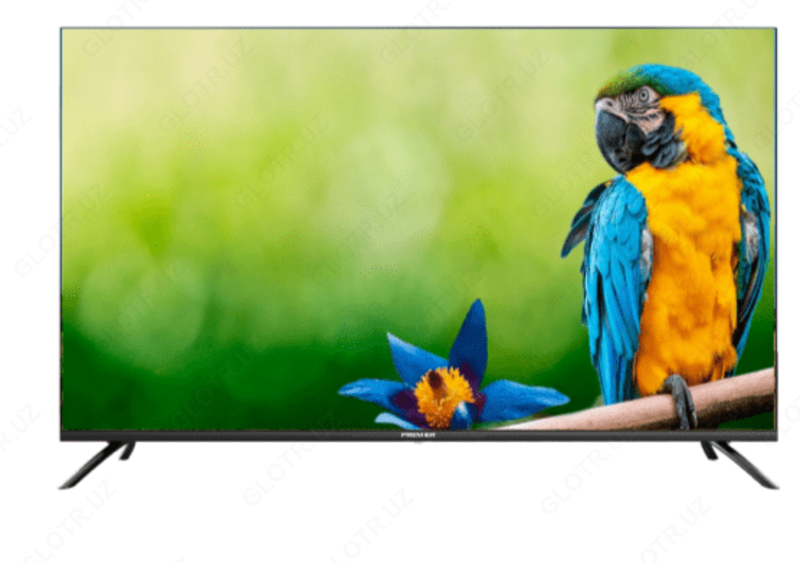 Premer TV 32 "PRM650
