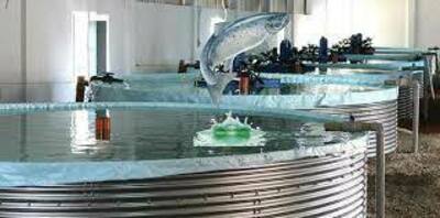 Рыбное хозяйство - Цена по запросу