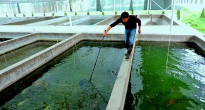 Цена по запросу Рыбное хозяйство