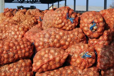 Polipropelin to'qima xalta