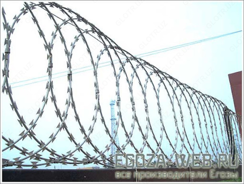 Егоза - 30 000 сум