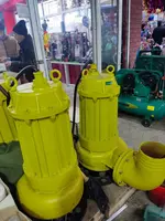 Погружной фекальный канализационный насос SHimge WQ180-25-22kw