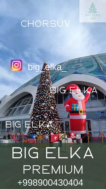 25 000 000 so'm Rojdestvo daraxti