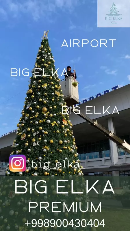 Rojdestvo daraxti Chakana savdo