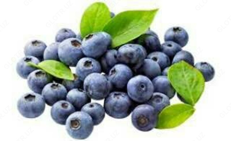 Швейцария Swiss Nahrin