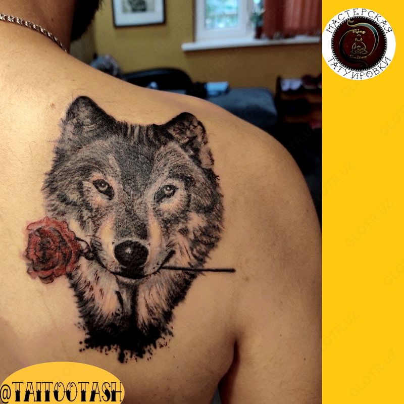 Vijay Taitoo Vijay Taitoo