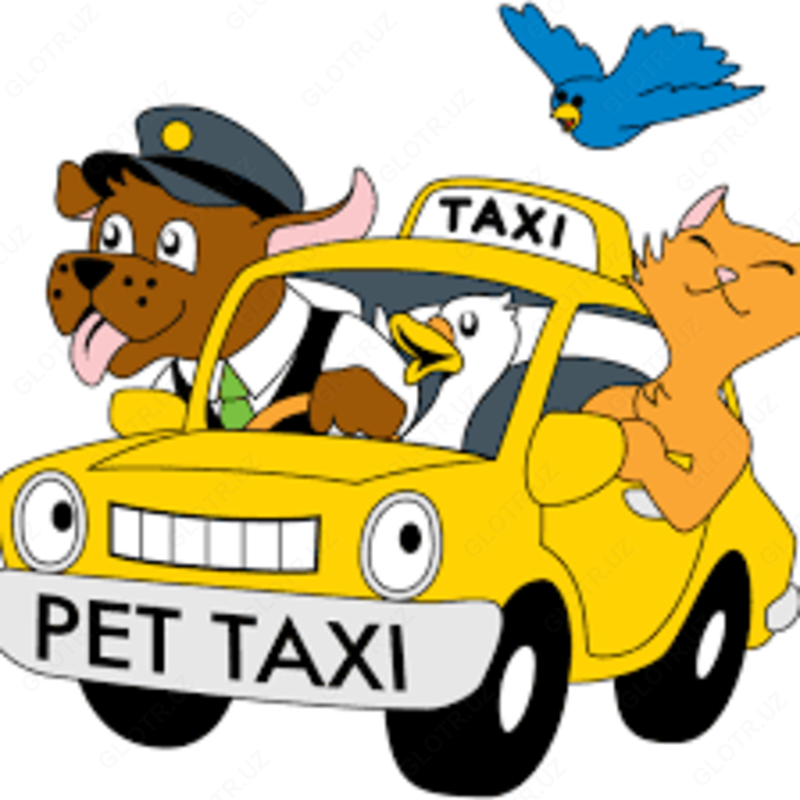 Зоотакси - по запросу