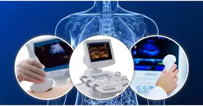 Ультразвуковое обследование - Цена по запросу