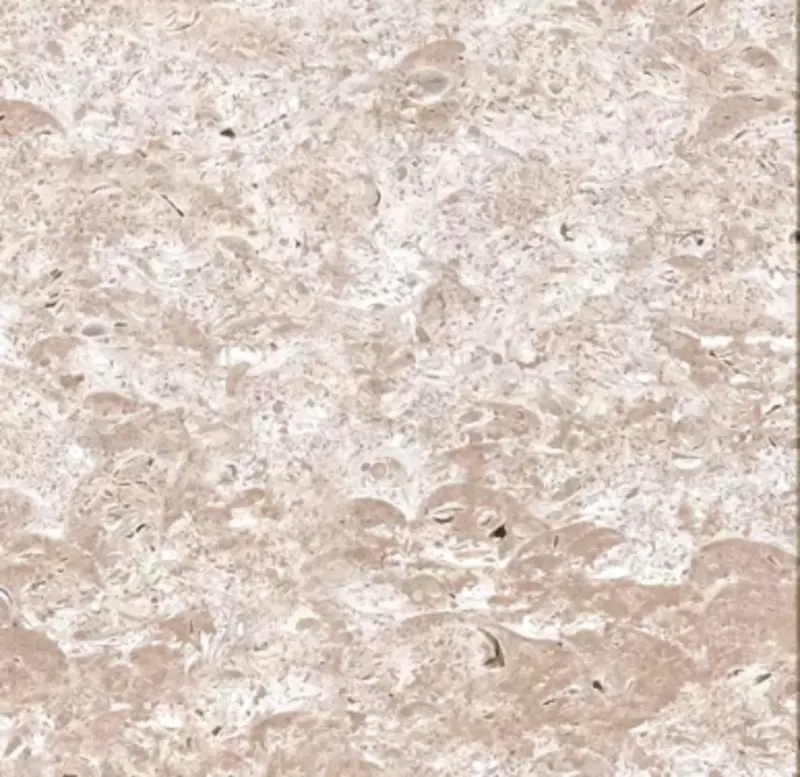 Qirgizton travertin tabiiy granit toshi - 167 485.2 so'm