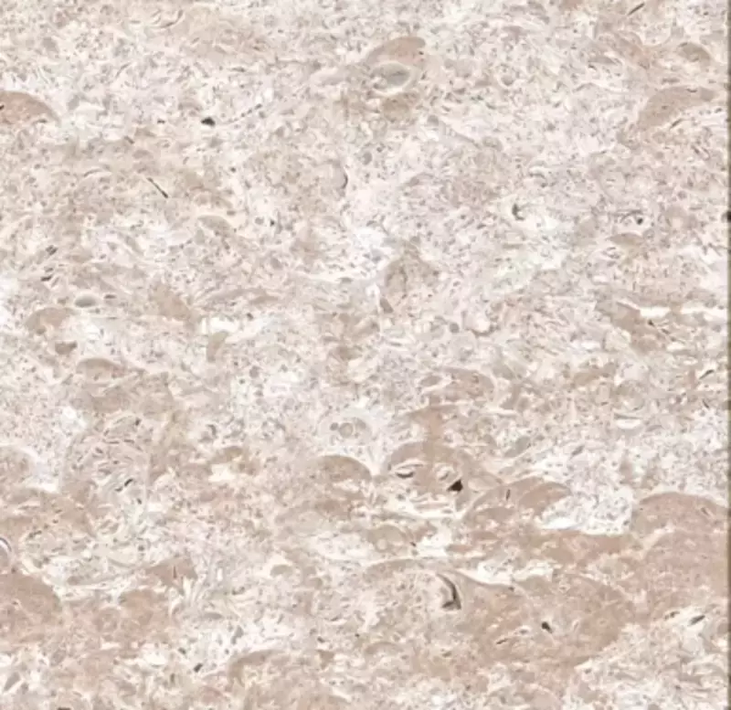 Qirgizton travertin tabiiy granit toshi