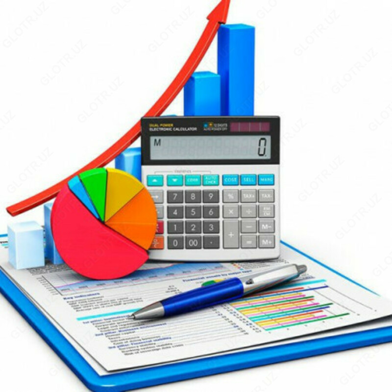 «ФИНАНСОВЫЙ УЧЕТ 1»