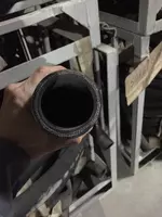 bug &#39;liniyasi PAR-2 (X) -50-69-0