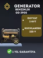 Бензиновый Генератор GIDROX GD-3900.