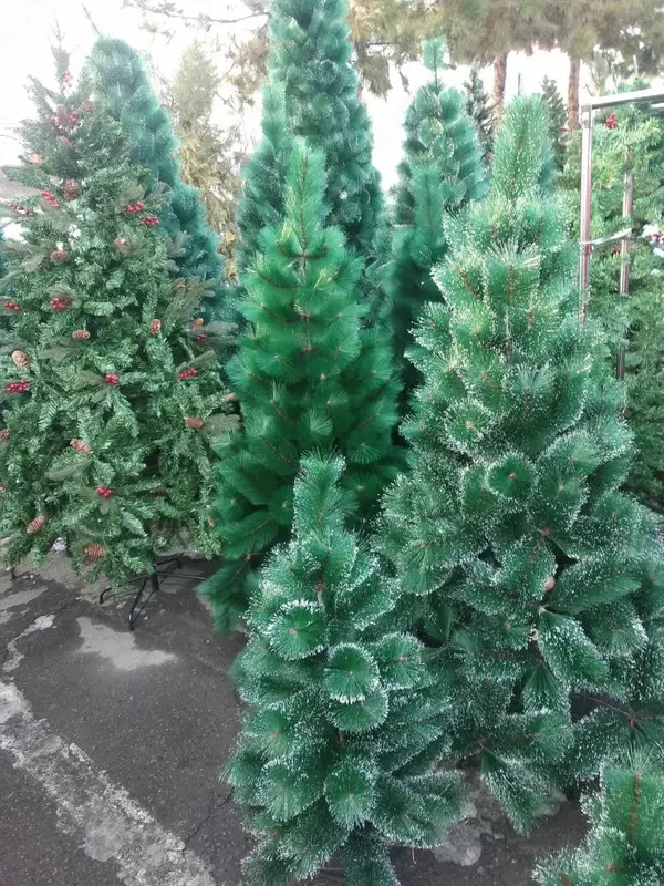 Yangi yil archasi bepul yetkazib berish birinchi qol