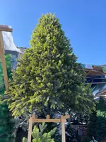  Yangi yil archasi bepul yetkazib berish birinchi qol Big Bang