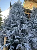  Yangi yil archasi bepul yetkazib berish birinchi qol - Big Bang