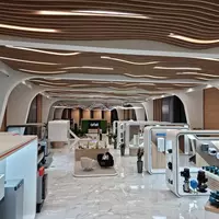 OOO LEADER BUSINESS - Обшивка стены и потолки из МДФ