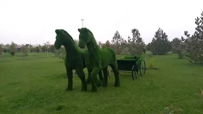 Yashil chimdan har xil turdagi bezaklar yasayman - Narx so&#039;rov asosida