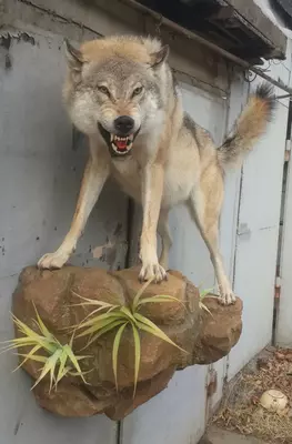 Мы создаем скульптуры разных форм для людей, которые охотятся и интересуются