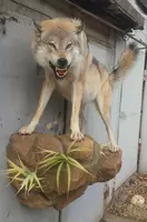 Мы создаем скульптуры разных форм для людей